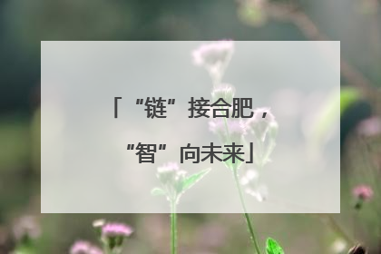 “链”接合肥，“智”向未来