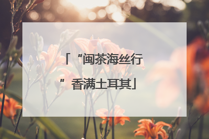 “闽茶海丝行”香满土耳其
