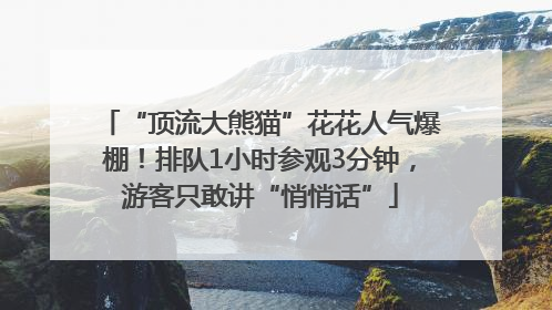 “顶流大熊猫”花花人气爆棚！排队1小时参观3分钟，游客只敢讲“悄悄话”