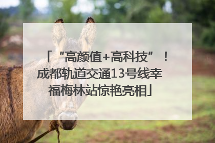 “高颜值+高科技”！成都轨道交通13号线幸福梅林站惊艳亮相
