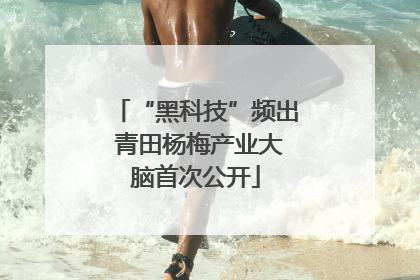 “黑科技”频出 青田杨梅产业大脑首次公开