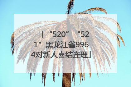 “520”“521”黑龙江省9964对新人喜结连理