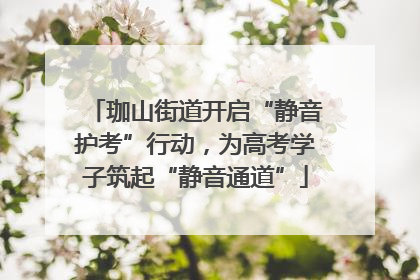 珈山街道开启“静音护考”行动，为高考学子筑起“静音通道”