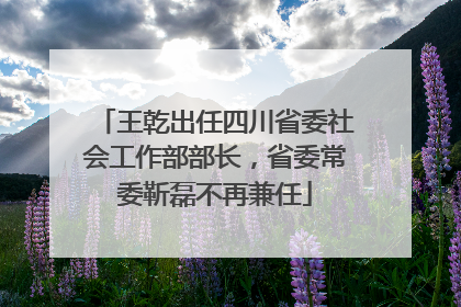 王乾出任四川省委社会工作部部长，省委常委靳磊不再兼任