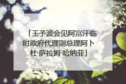 王予波会见阿富汗临时政府代理副总理阿卜杜·萨拉姆·哈纳菲