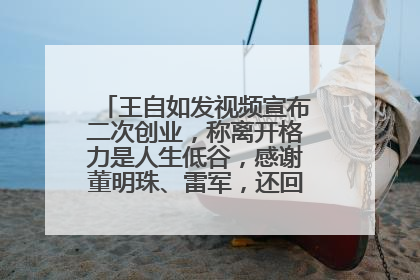 王自如发视频宣布二次创业，称离开格力是人生低谷，感谢董明珠、雷军，还回应了“工资条”：清楚自己要什么……