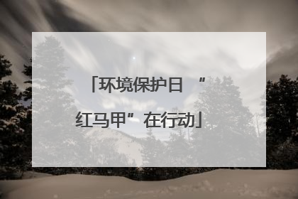 环境保护日 “红马甲”在行动