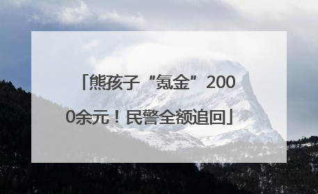 熊孩子“氪金”2000余元！民警全额追回