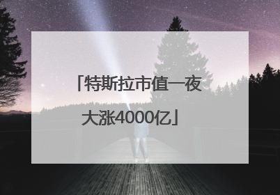 特斯拉市值一夜大涨4000亿