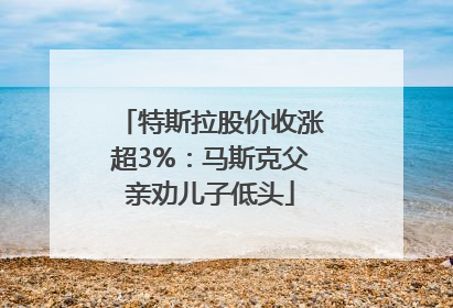 特斯拉股价收涨超3%：马斯克父亲劝儿子低头