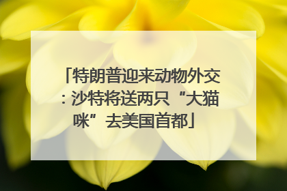 特朗普迎来动物外交：沙特将送两只“大猫咪”去美国首都