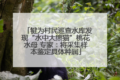犍为村民巡查水库发现“水中大熊猫”桃花水母 专家：将采集样本鉴定具体种属
