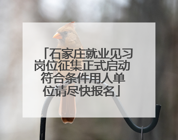 石家庄就业见习岗位征集正式启动 符合条件用人单位请尽快报名