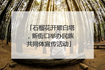 石榴花开耀白塔，新街口举办民族共同体宣传活动