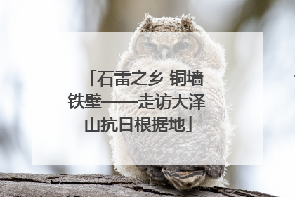 石雷之乡 铜墙铁壁——走访大泽山抗日根据地