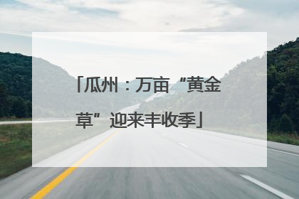 瓜州：万亩“黄金草”迎来丰收季