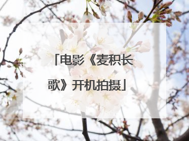 电影《麦积长歌》开机拍摄