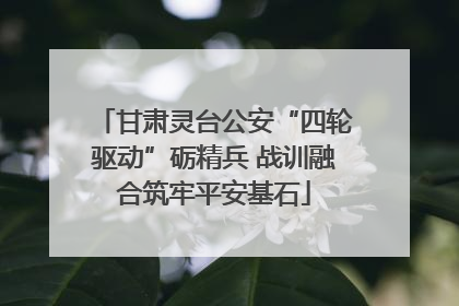 甘肃灵台公安“四轮驱动”砺精兵 战训融合筑牢平安基石