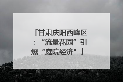 甘肃庆阳西峰区：“流量花园”引爆“庭院经济”