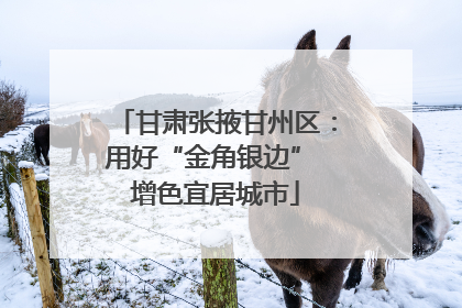 甘肃张掖甘州区：用好“金角银边” 增色宜居城市