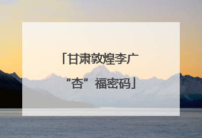 甘肃敦煌李广“杏”福密码