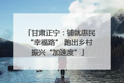 甘肃正宁：铺就惠民“幸福路” 跑出乡村振兴“加速度”