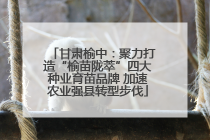 甘肃榆中：聚力打造“榆苗陇萃”四大种业育苗品牌 加速农业强县转型步伐