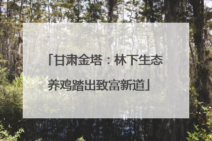 甘肃金塔：林下生态养鸡踏出致富新道