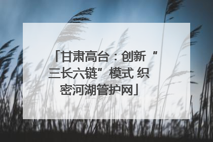 甘肃高台：创新“三长六链”模式 织密河湖管护网
