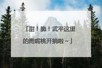 甜！脆！武平这里的鹰嘴桃开摘啦～
