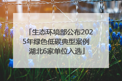 生态环境部公布2025年绿色低碳典型案例 湖北6家单位入选