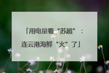 用电量看“苏超”：连云港海鲜“火”了