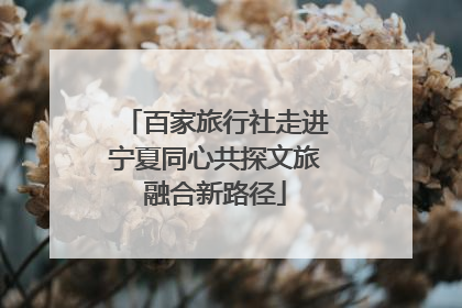 百家旅行社走进宁夏同心共探文旅融合新路径