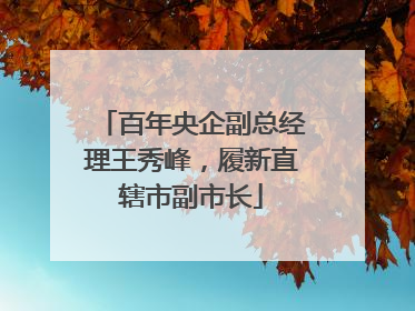 百年央企副总经理王秀峰，履新直辖市副市长
