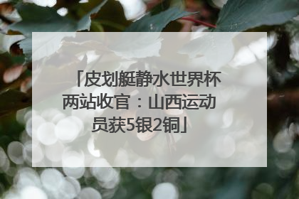 皮划艇静水世界杯两站收官：山西运动员获5银2铜