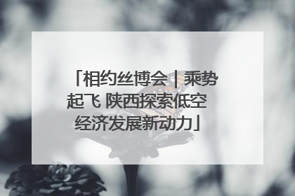 相约丝博会｜乘势起飞 陕西探索低空经济发展新动力
