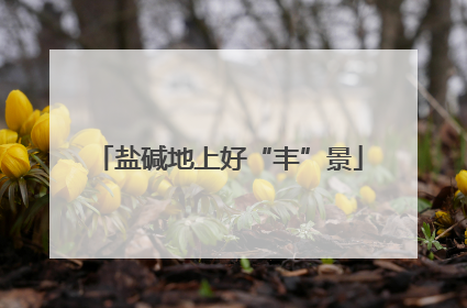 盐碱地上好“丰”景