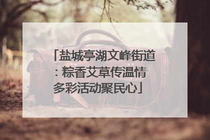 盐城亭湖文峰街道：粽香艾草传温情 多彩活动聚民心