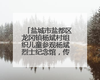 盐城市盐都区龙冈镇杨斌村组织儿童参观杨斌烈士纪念馆，传承红色基因