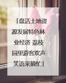 盘活土地资源发展特色林业经济 荔枝园里游客欢声笑语采摘忙