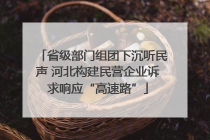 省级部门组团下沉听民声 河北构建民营企业诉求响应“高速路”