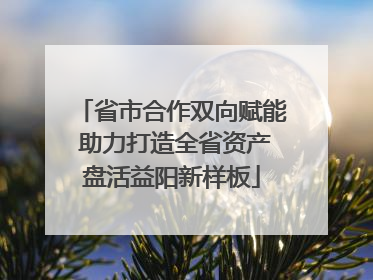 省市合作双向赋能 助力打造全省资产盘活益阳新样板