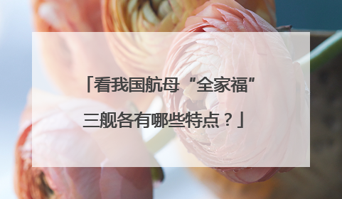 看我国航母“全家福” 三舰各有哪些特点？