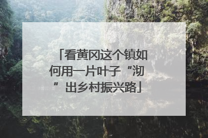 看黄冈这个镇如何用一片叶子“沏”出乡村振兴路