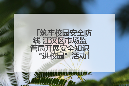 筑牢校园安全防线 江汉区市场监管局开展安全知识“进校园”活动