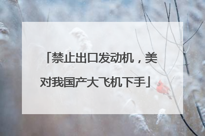 禁止出口发动机，美对我国产大飞机下手