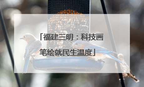 福建三明：科技画笔绘就民生温度