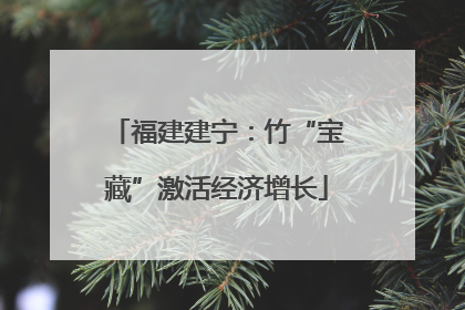 福建建宁：竹“宝藏”激活经济增长