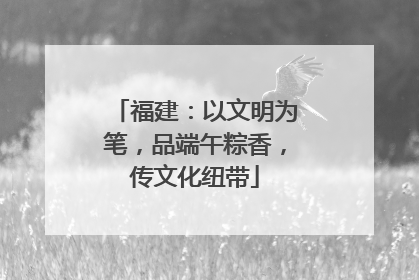 福建：以文明为笔，品端午粽香，传文化纽带