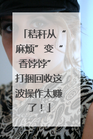 秸秆从“麻烦”变“香饽饽” 打捆回收这波操作太赚了！